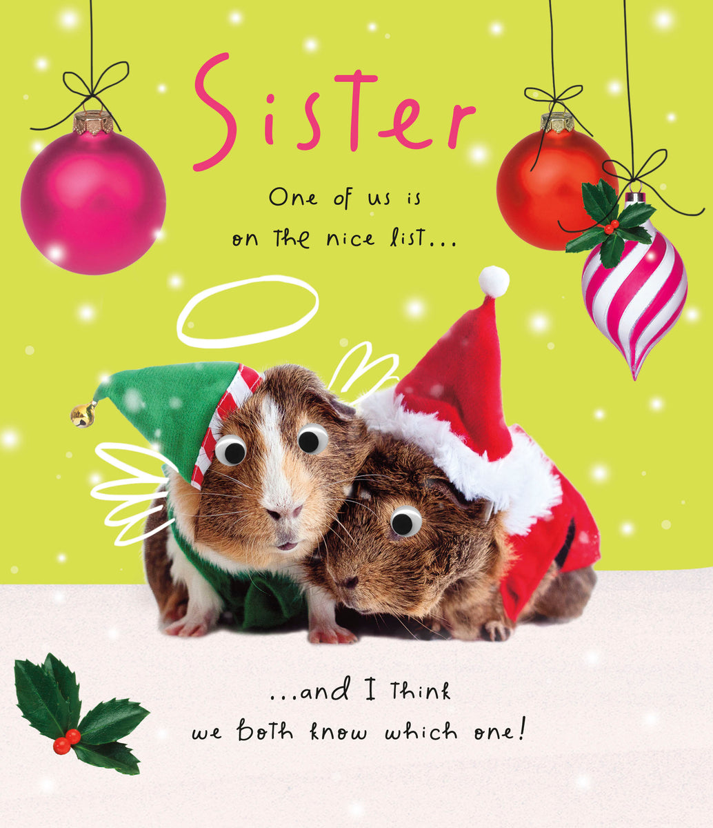 Sister Christmas Card Funny Cards Through The