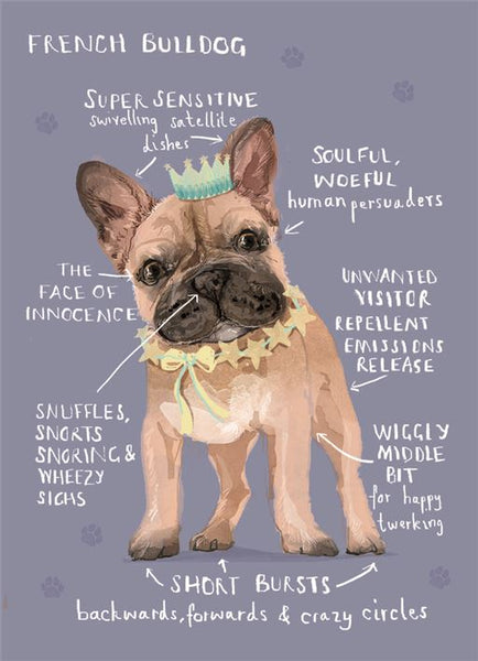 Cute dog birthday card - French bulldog