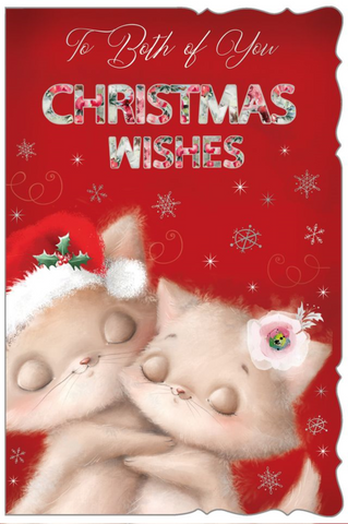 To both of you Christmas card- cute cats