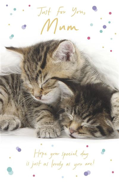 Mum birthday card - cute cats