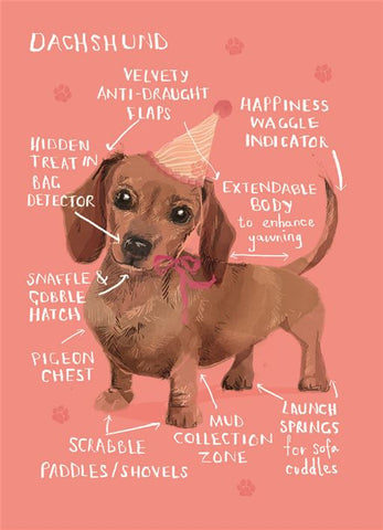 Cute dog birthday card - Daschund