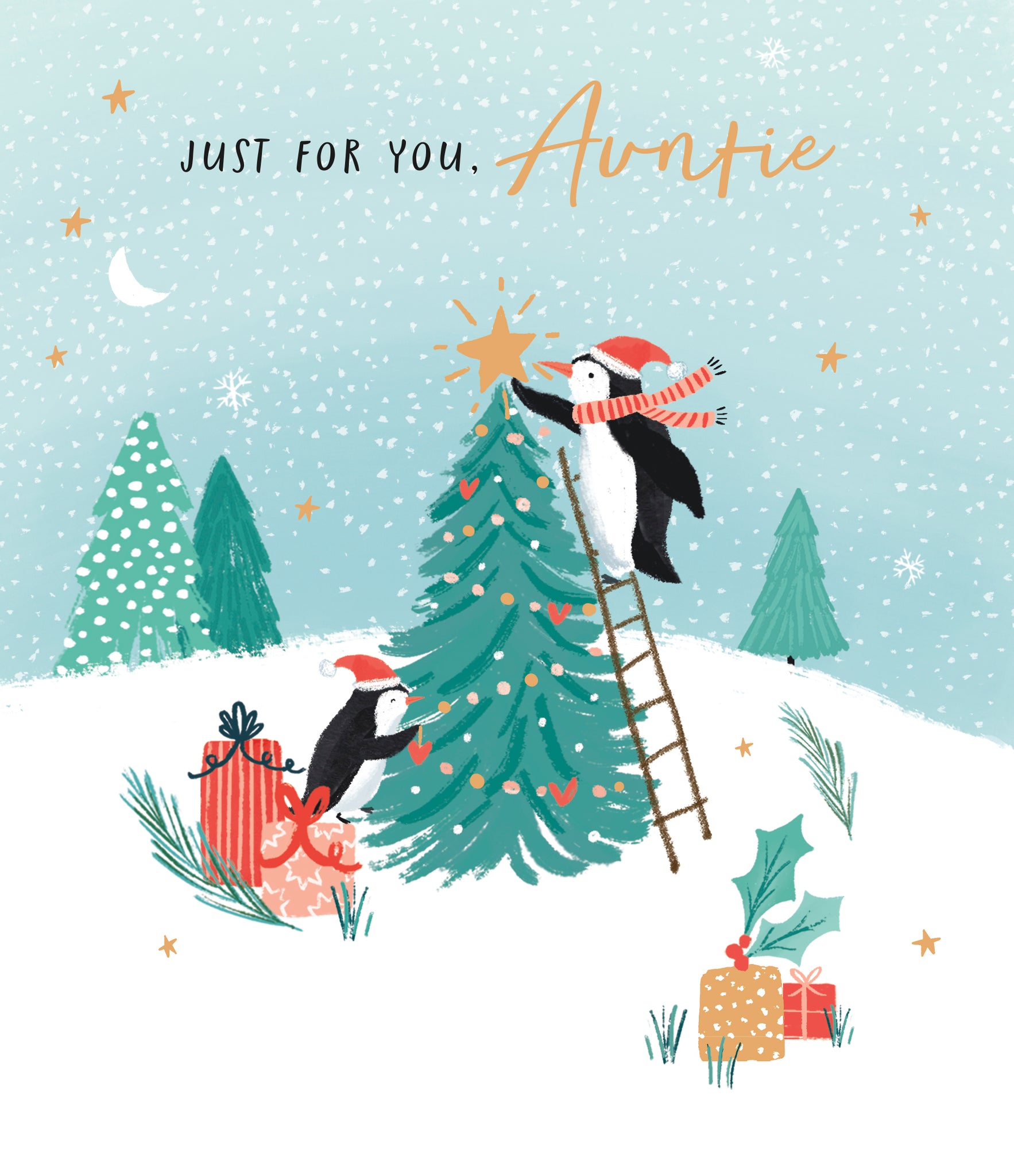 Auntie Christmas card - cute penguins