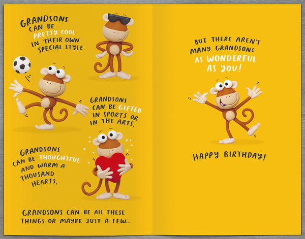 Grandson birthday card - funny card