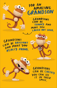 Grandson birthday card - funny card