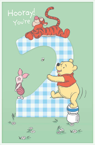 Age 2 Winnie the Pooh birthday card