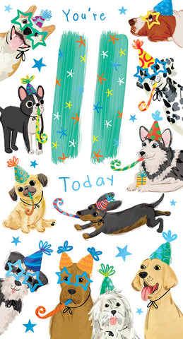 Age 11 birthday card - party dogs