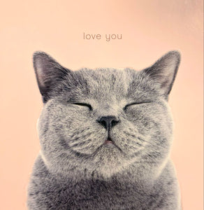 Valentine’s Day card - cute cat