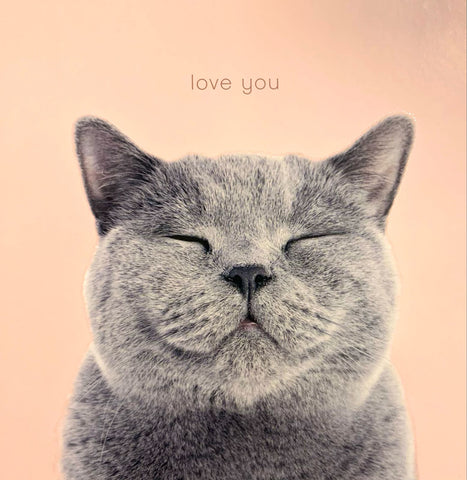 Valentine’s Day card - cute cat